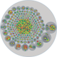 Image for article titled 14 Complex Data Visualizations That Take The Form Of A Tree